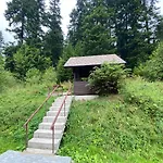 Lodge оранта *