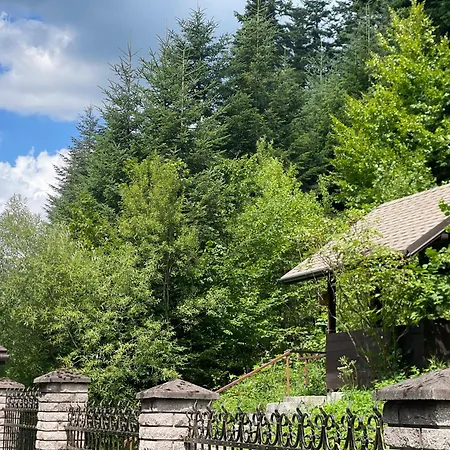 оранта Skhidnytsia