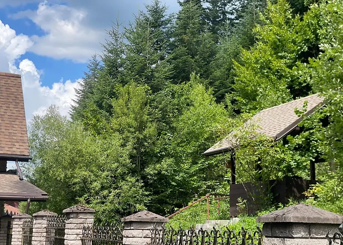 оранта Skhidnytsia